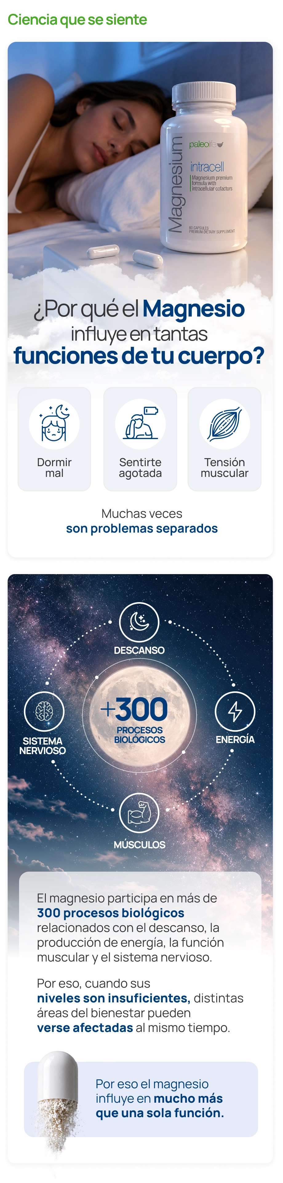 Información del suplemento